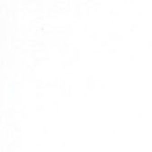 Meet your Posher, Elise